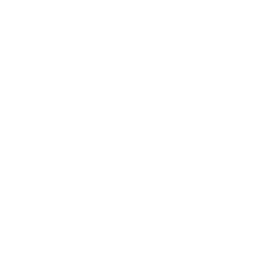 BIG language school